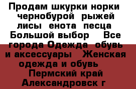 Продам шкурки норки, чернобурой, рыжей лисы, енота, песца. Большой выбор. - Все города Одежда, обувь и аксессуары » Женская одежда и обувь   . Пермский край,Александровск г.